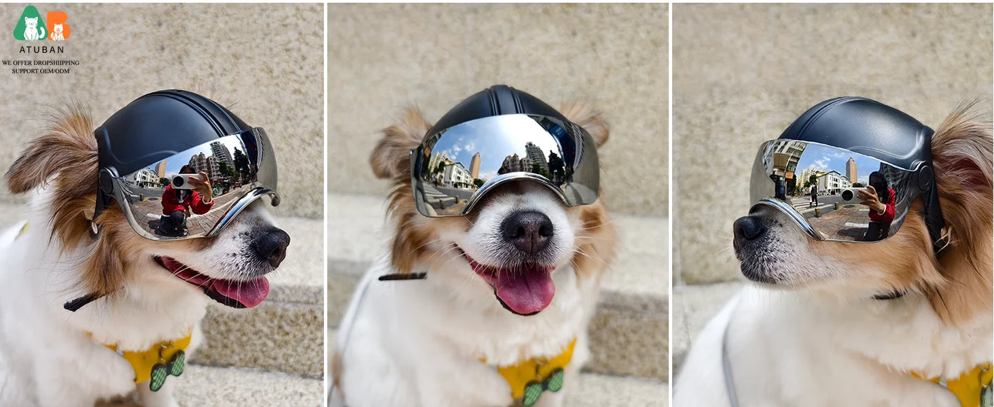 ATUBAN Dog Helmet Small Breed,Dog Motorcycle Helmet Drop-Down Clear Visor for Outdoor Motorcycling Windproof Pet Hat with Rivet