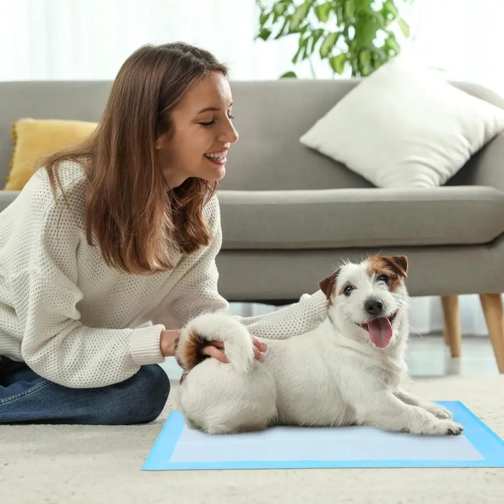 Super Absorbent Waterproof Dog and Puppy Pet Training Pad, Housebreaking Pet Pad,Blue (22"x22" (50PCS))