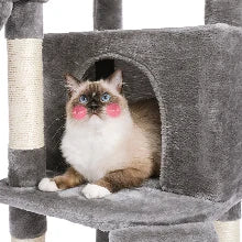 Cat Tree Tower Scratching Post Scratcher Cat House Kitten Toys with Big Conda Large High Perch Cat Hammock Hanging Balls