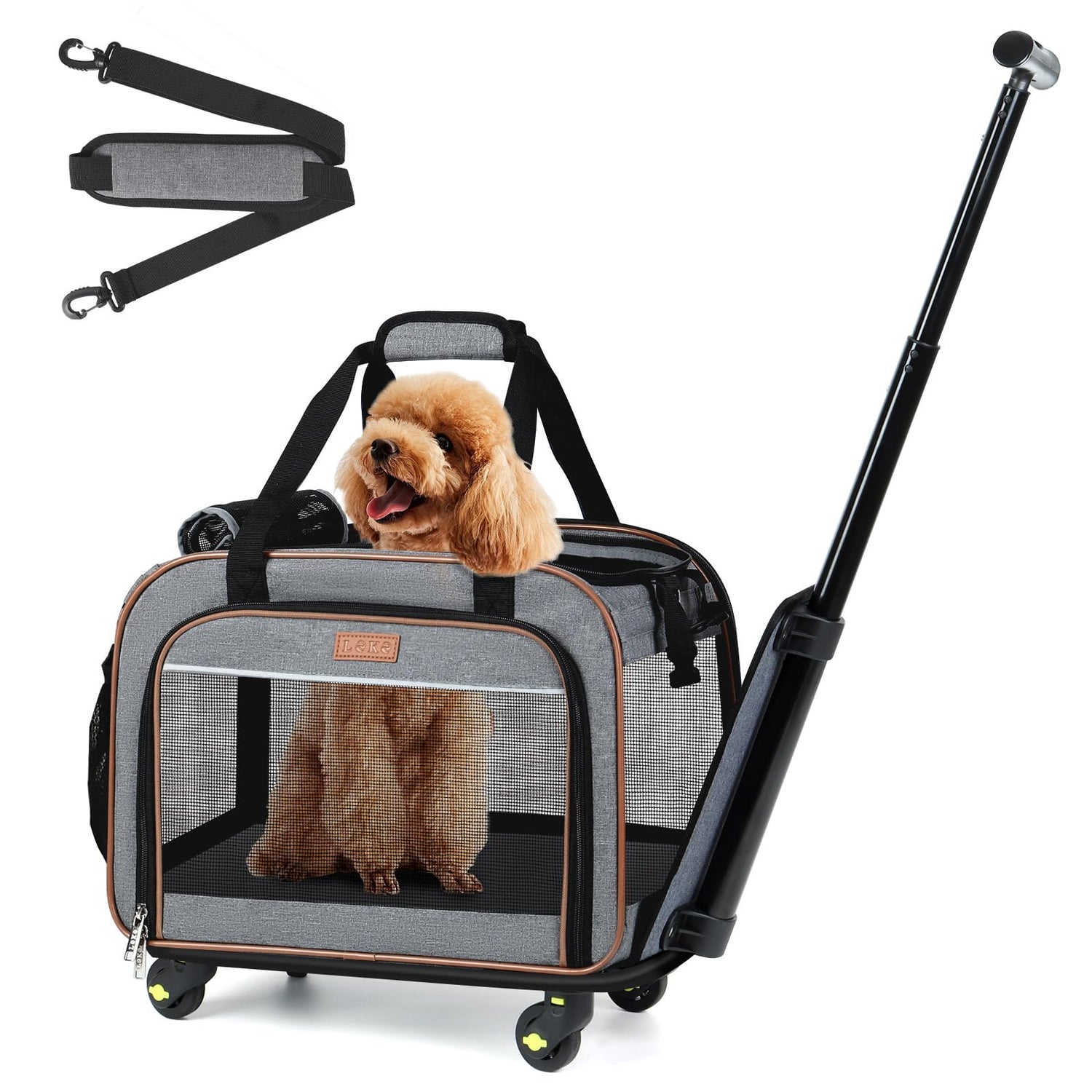 Pet Carrier's