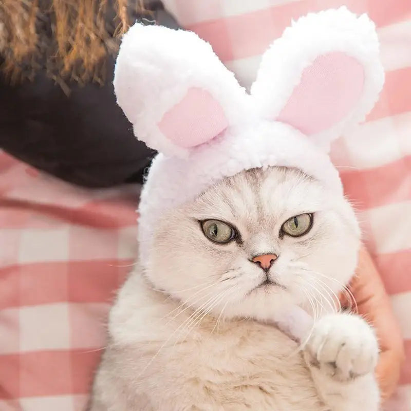 Funny Pet Dog Cat Rabbit Ears Hat Rabbit Wig Costume Winter Warm Puppy Headwear New Year Party Cosplay Clothes Pet Accessories