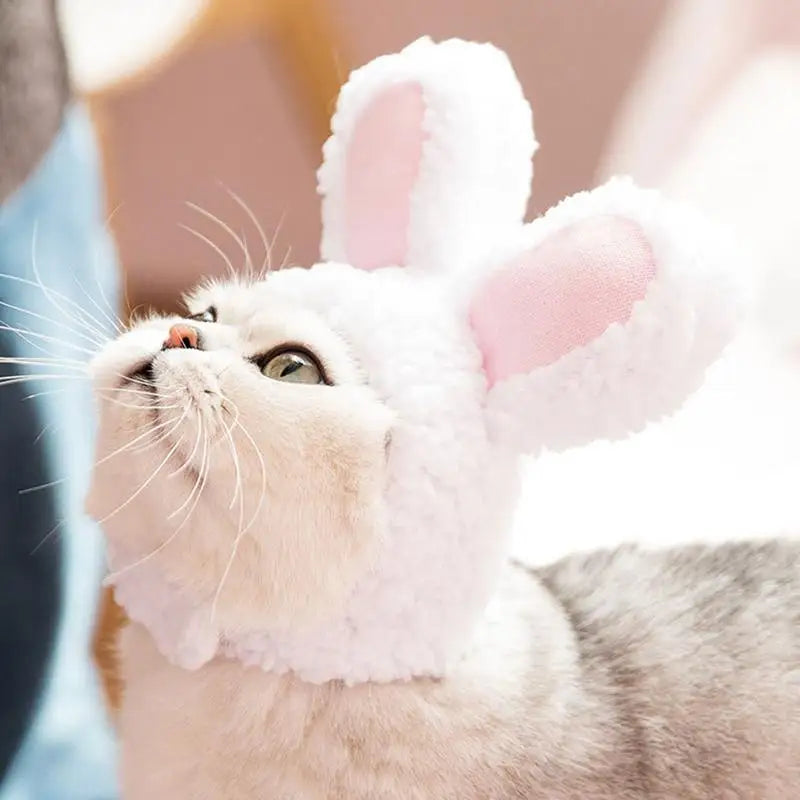 Funny Pet Dog Cat Rabbit Ears Hat Rabbit Wig Costume Winter Warm Puppy Headwear New Year Party Cosplay Clothes Pet Accessories