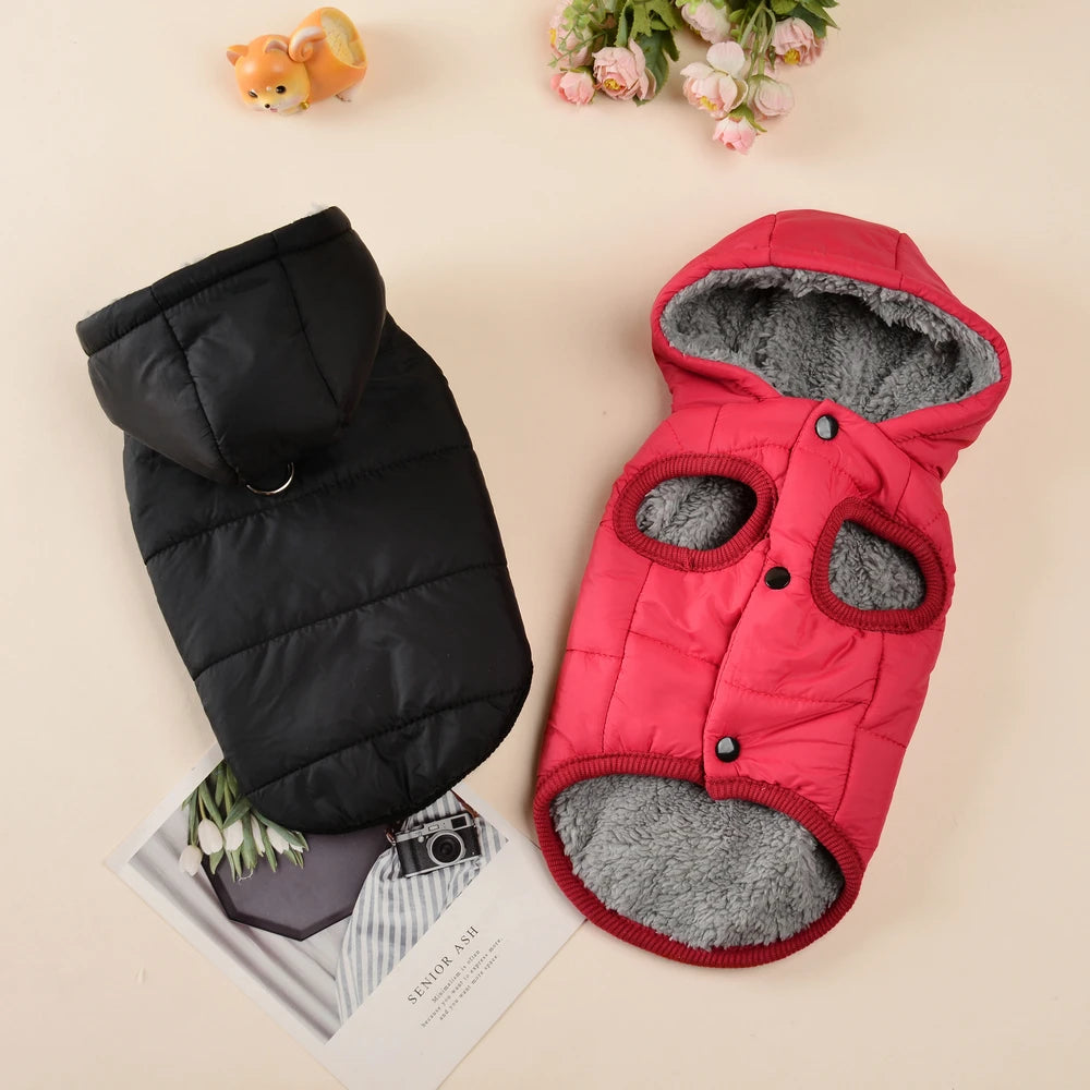 Waterproof Pet Cat Hoodie Jacket For Small Medium Cats Winter Warm Fleece Kitten Costume with D-ring Sphynx Coat Pug Clothes