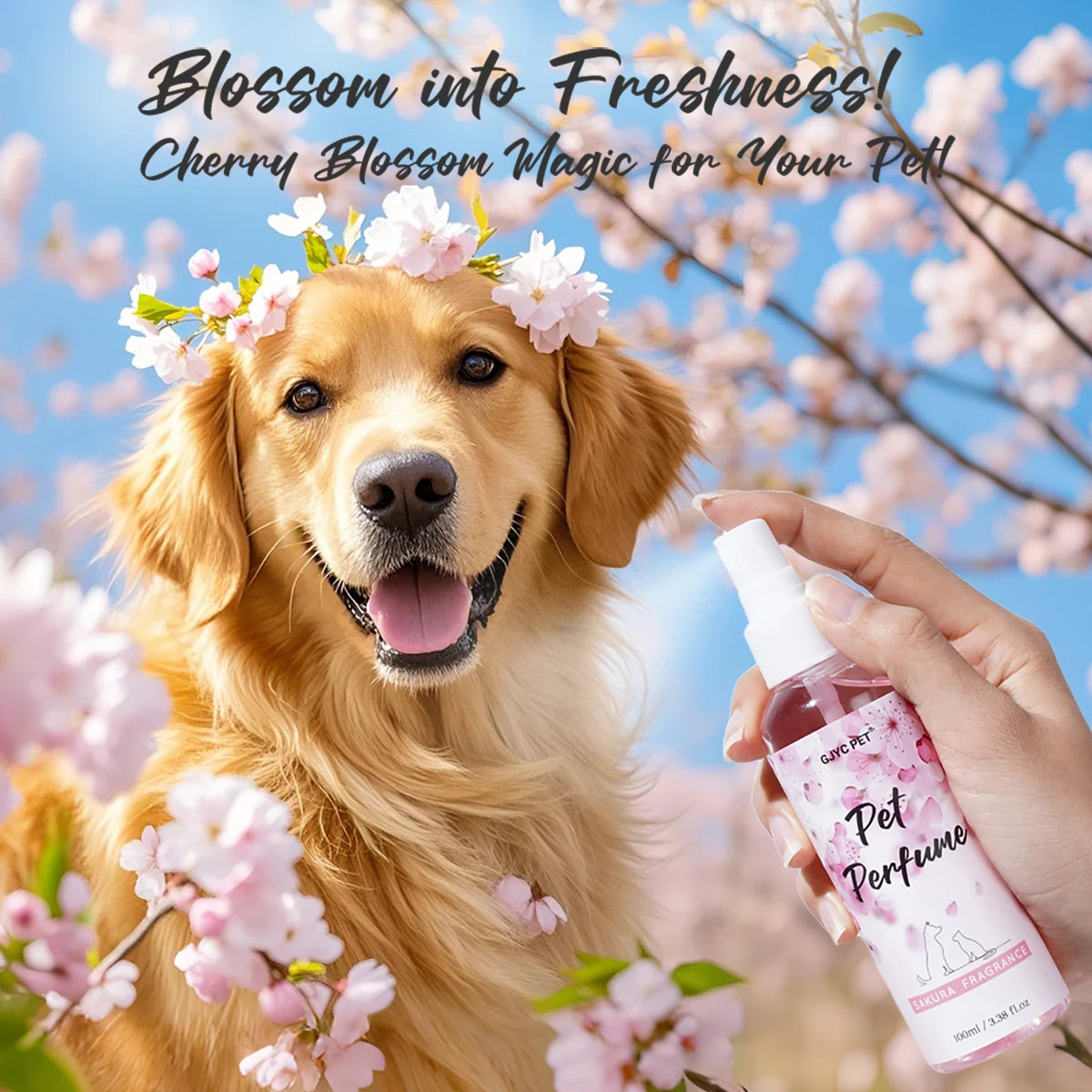 Sakura Blossom Pet Perfume Spray Long Lasting Odor Eliminator Gentle Alcohol-Free Formula Safe For Dogs Cats
