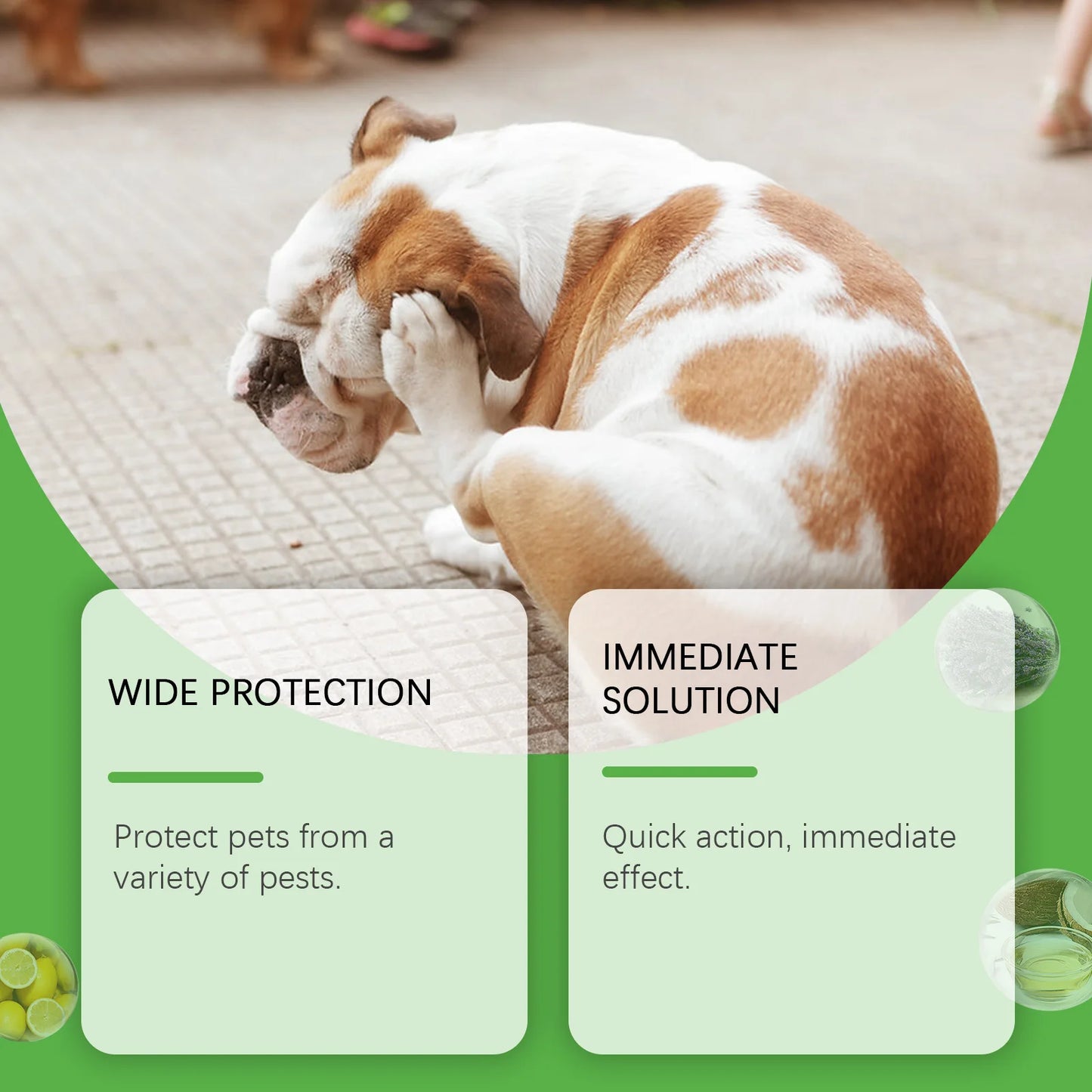 YEGBONG 50ml Pet Flea Mite Defense Spray Hypoallergenic Gentle Coat Care for Dogs and Cats with Non Toxic Plant Based Formula