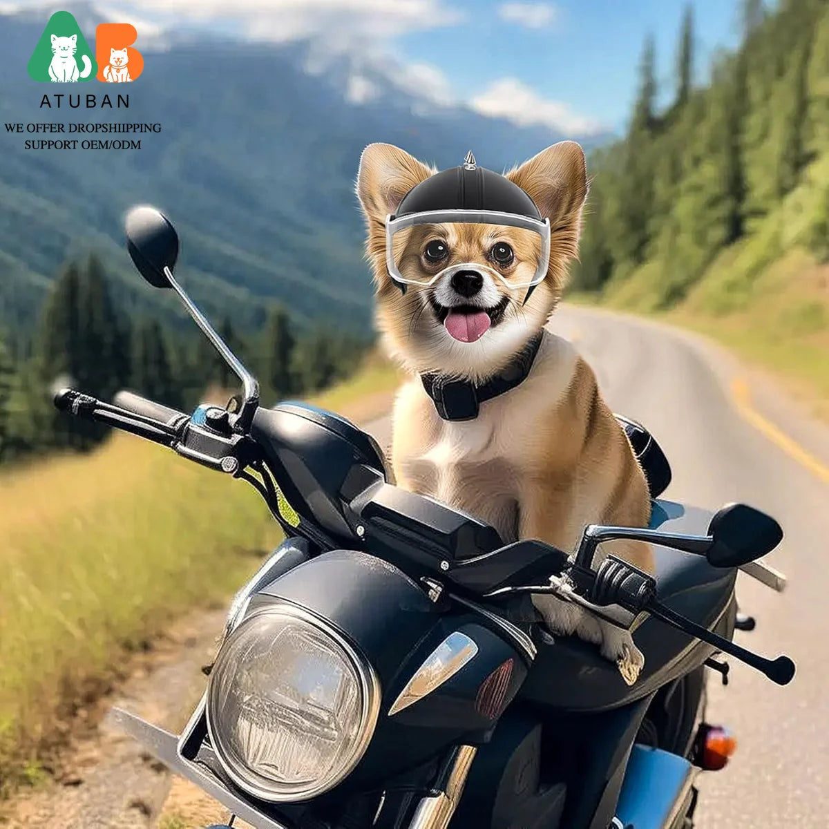 ATUBAN Dog Helmet Small Breed,Dog Motorcycle Helmet Drop-Down Clear Visor for Outdoor Motorcycling Windproof Pet Hat with Rivet