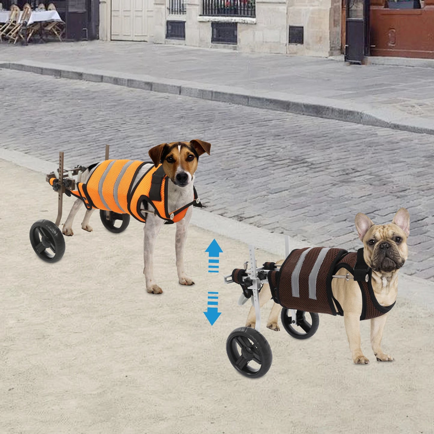 Adjustable Dog Wheelchair for Hind Leg Support, Lightweight Aluminum Frame, EVA Wheels & Breathable Mesh, Fits Pets 6.6-19.8lbs