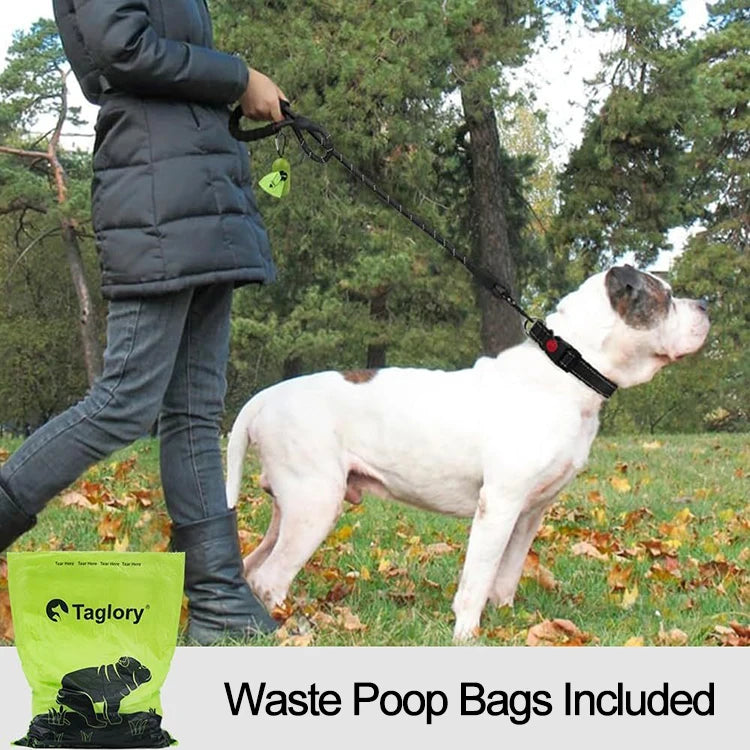 Double Strap for Dogs Lead Retractable Dog Leash for Big Strong Dog Pet Reflective Leash for Small Medium Dog Leash