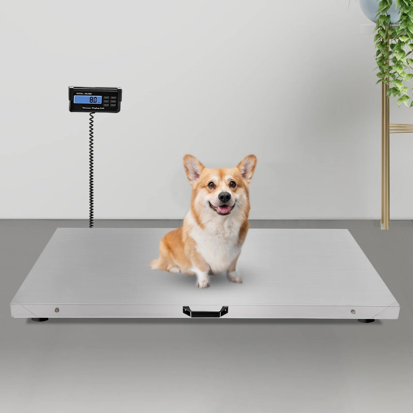 1100lb Digital Animal Scale - Stainless Steel Platform, LCD Display, Multi-Unit & Battery/AC Power for Pets/Livestock/Farms