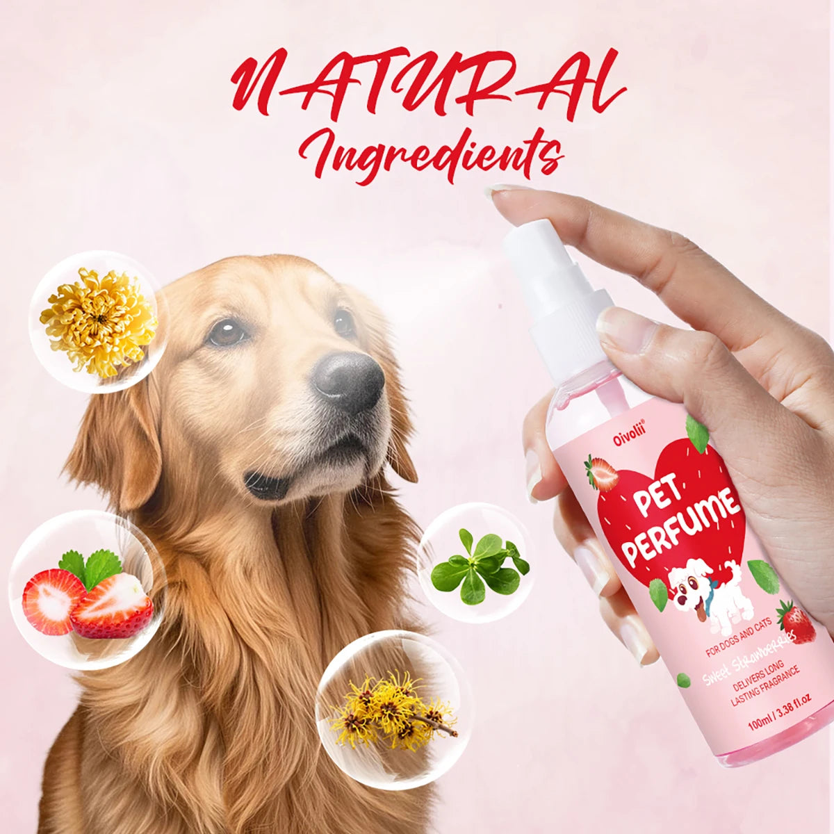 100ml Strawberry Scent Pet Perfume Spray Long-Lasting Deodorant Natural Formula for Dogs Cats All Breeds Air Freshener