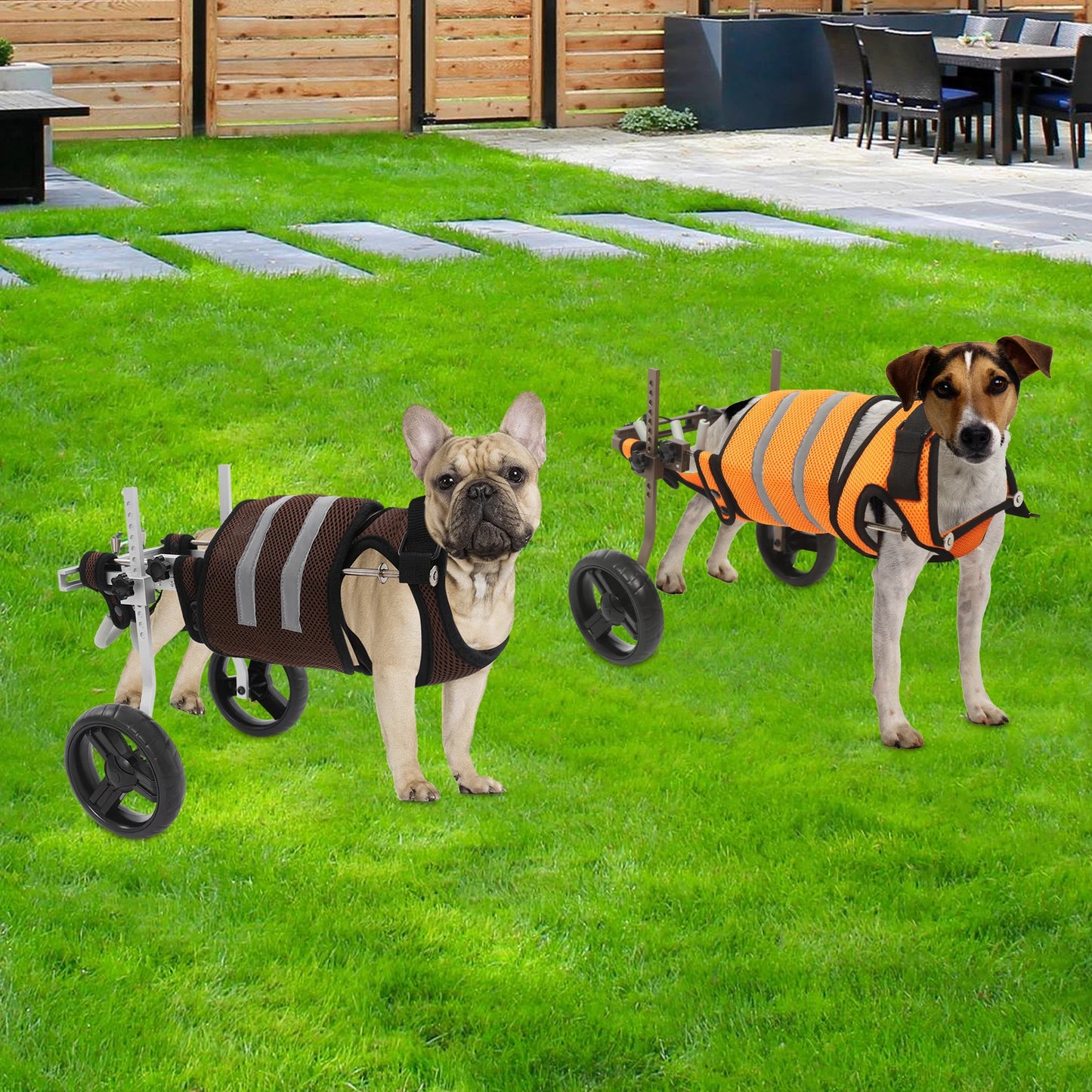 Adjustable Dog Wheelchair for Hind Leg Support, Lightweight Aluminum Frame, EVA Wheels & Breathable Mesh, Fits Pets 6.6-19.8lbs