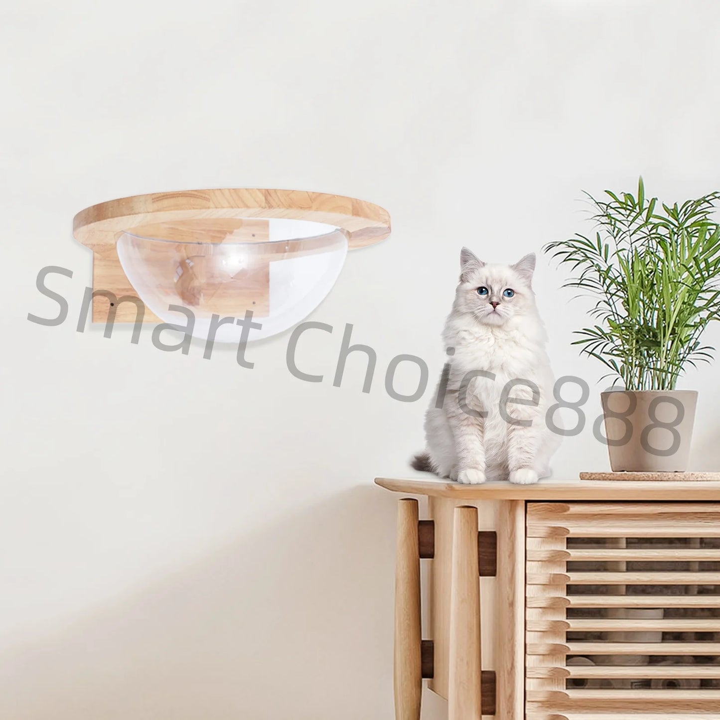 Cat Space Capsule Space Capsule-style Transparent Cover Cat Bed Small Pets Bed Cat Toy Cat Furniture Pet Supplies